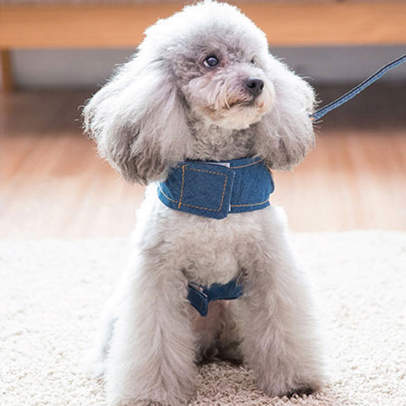 Pet Cat Dog Leash Vest Mesh Breathable Soft Denim Clothing Adjustable Harness