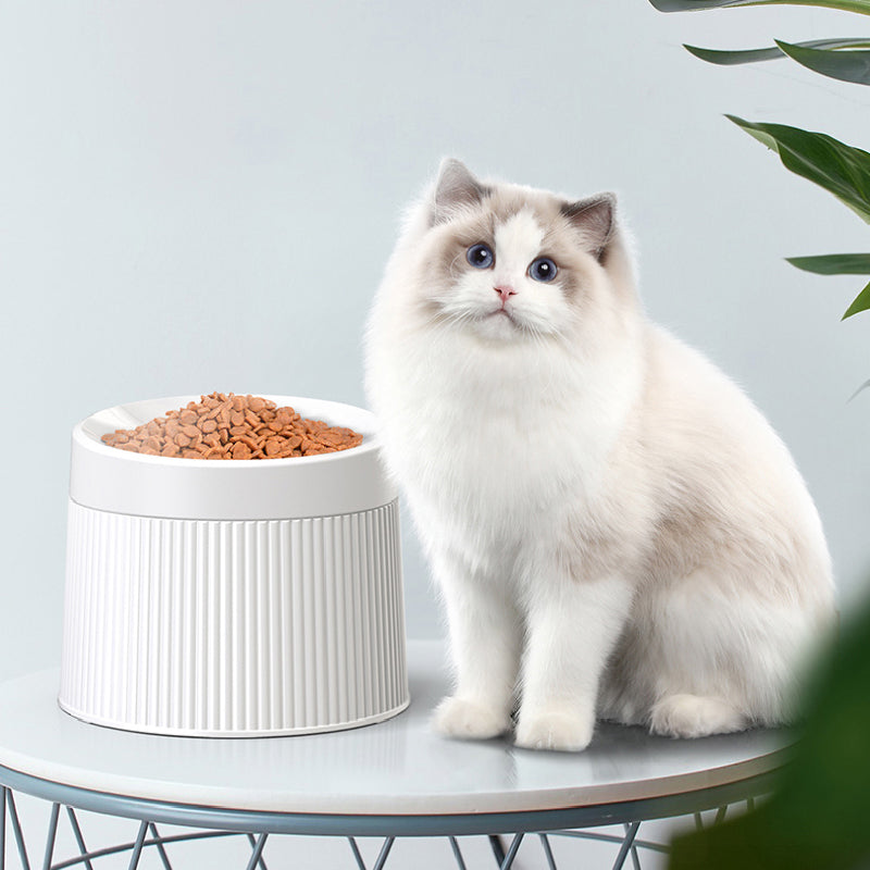 Double Separable Bowl Cat Dog High-footed Neck Guard Beard Anti-overturning