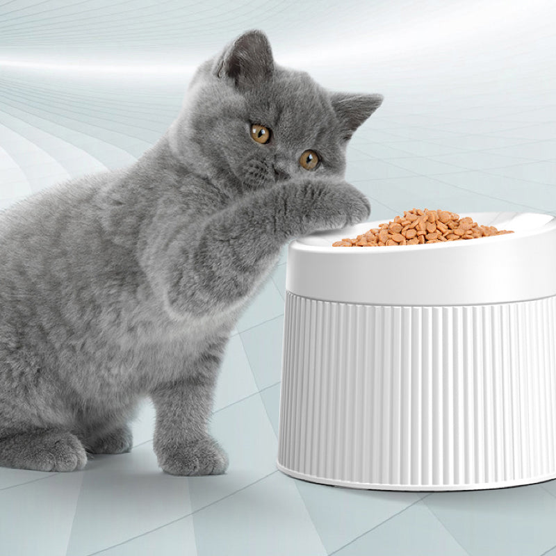 Double Separable Bowl Cat Dog High-footed Neck Guard Beard Anti-overturning