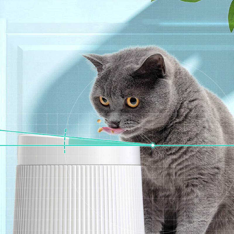 Double Separable Bowl Cat Dog High-footed Neck Guard Beard Anti-overturning