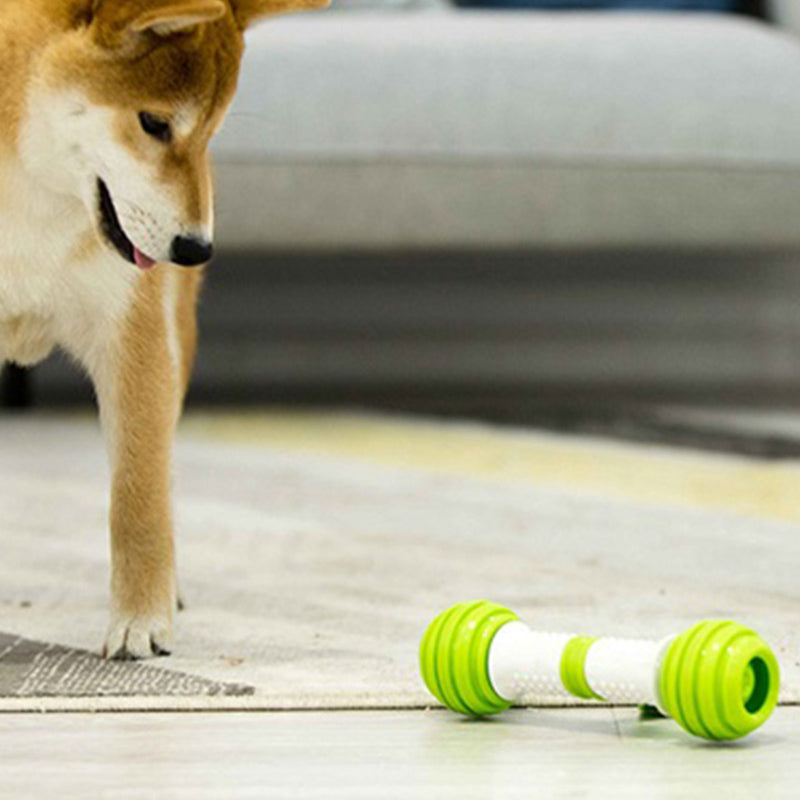 Pet Anti-boring Electric Moving Bone Bouncing Ball Puppy Educational Dog Toys