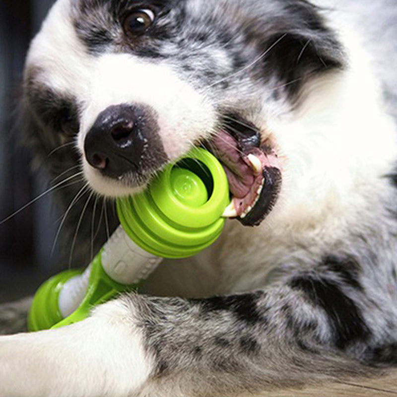 Pet Anti-boring Electric Moving Bone Bouncing Ball Puppy Educational Dog Toys