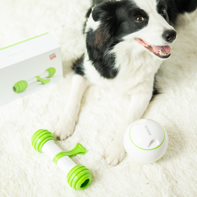 Pet Anti-boring Electric Moving Bone Bouncing Ball Puppy Educational Dog Toys