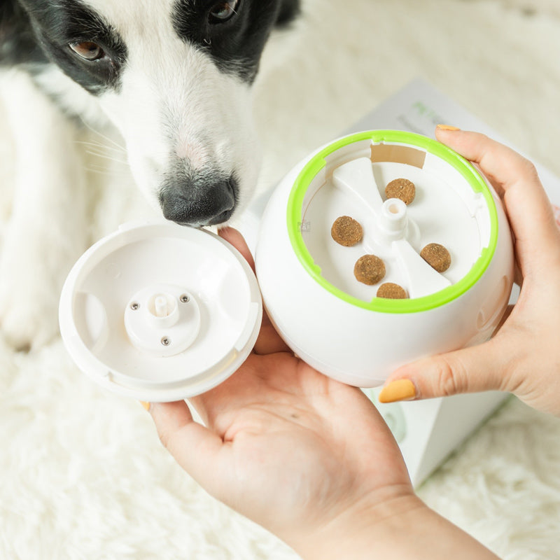 Pet Anti-boring Electric Moving Bone Bouncing Ball Puppy Educational Dog Toys
