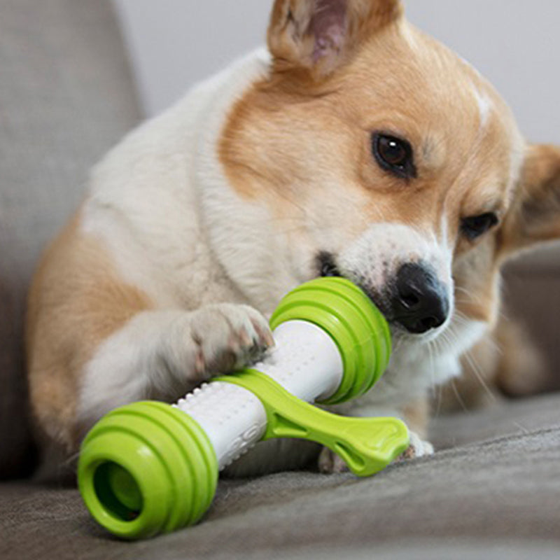 Pet Anti-boring Electric Moving Bone Bouncing Ball Puppy Educational Dog Toys