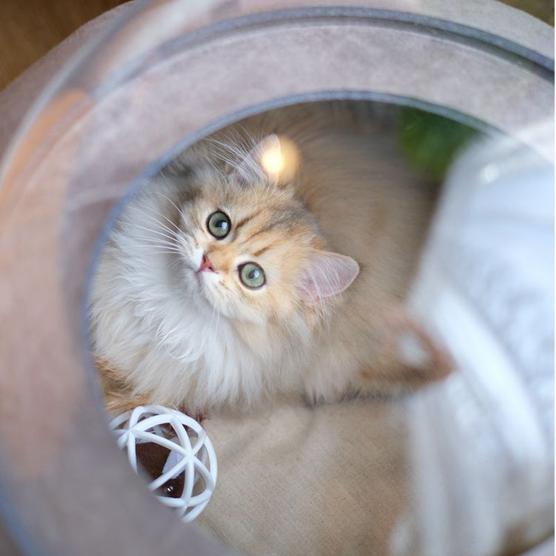 Space Capsule Cat Bed Large Suede Fabric with Original Design by PURROOM