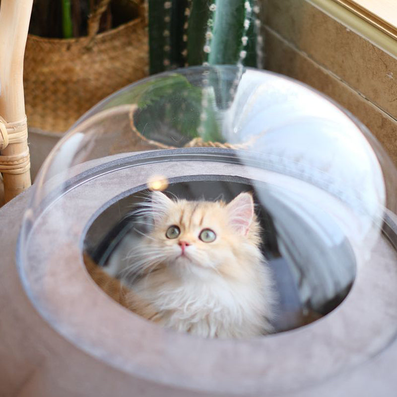 Space Capsule Cat Bed Large Suede Fabric with Original Design by PURROOM