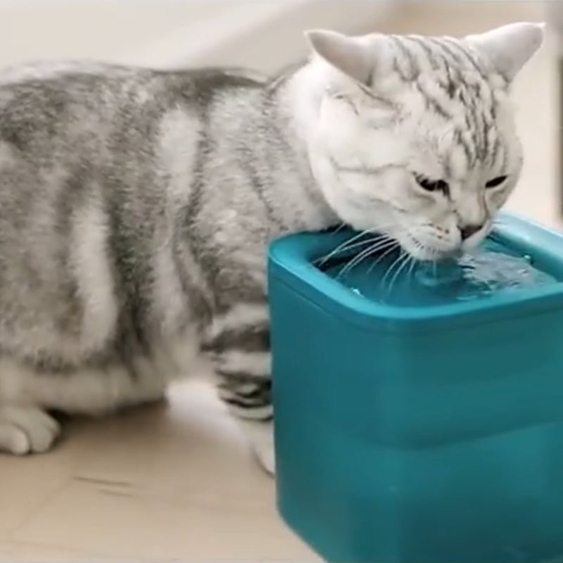 PETKIT EVERSWEET Solo Smart Drinking Fountain Cat Dog Water Dispenser