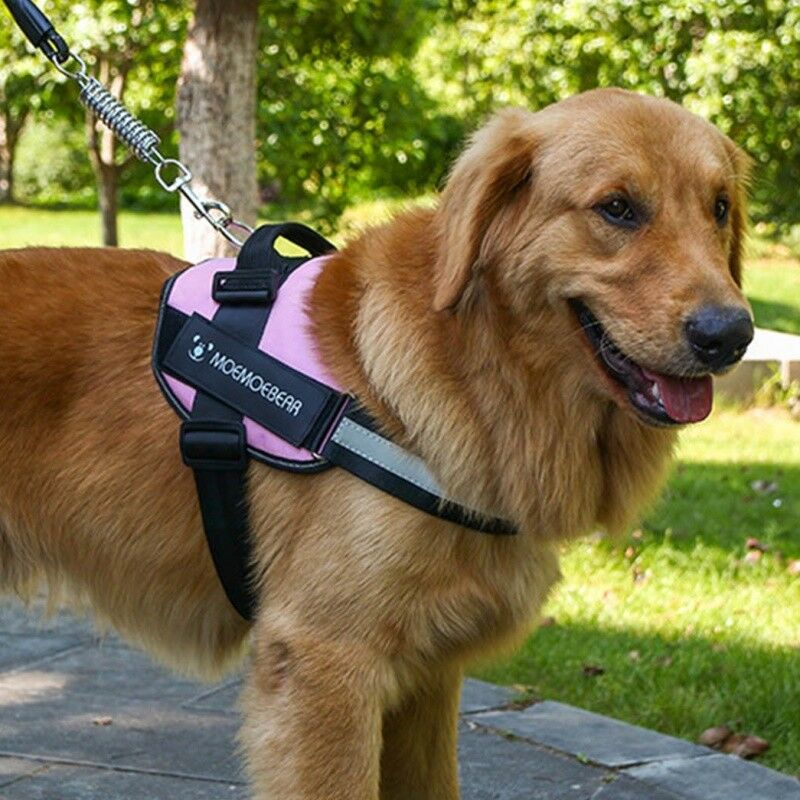Pet Dog EVA Reflective Traction Rope Training Chain Spring Nylon Leash