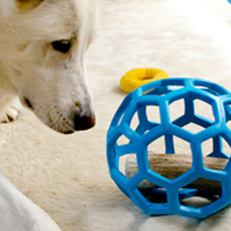 Dog Chew Ball Toy Rubber Dental Clean Teeth Healthy Treat Gum Bite Puppy Pet