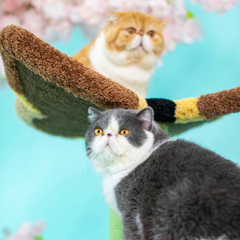 Butterfly and Flower Cat Toy Climbing Frame Jumping Platform Scratcher