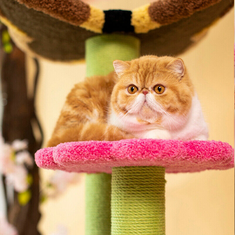Butterfly and Flower Cat Toy Climbing Frame Jumping Platform Scratcher