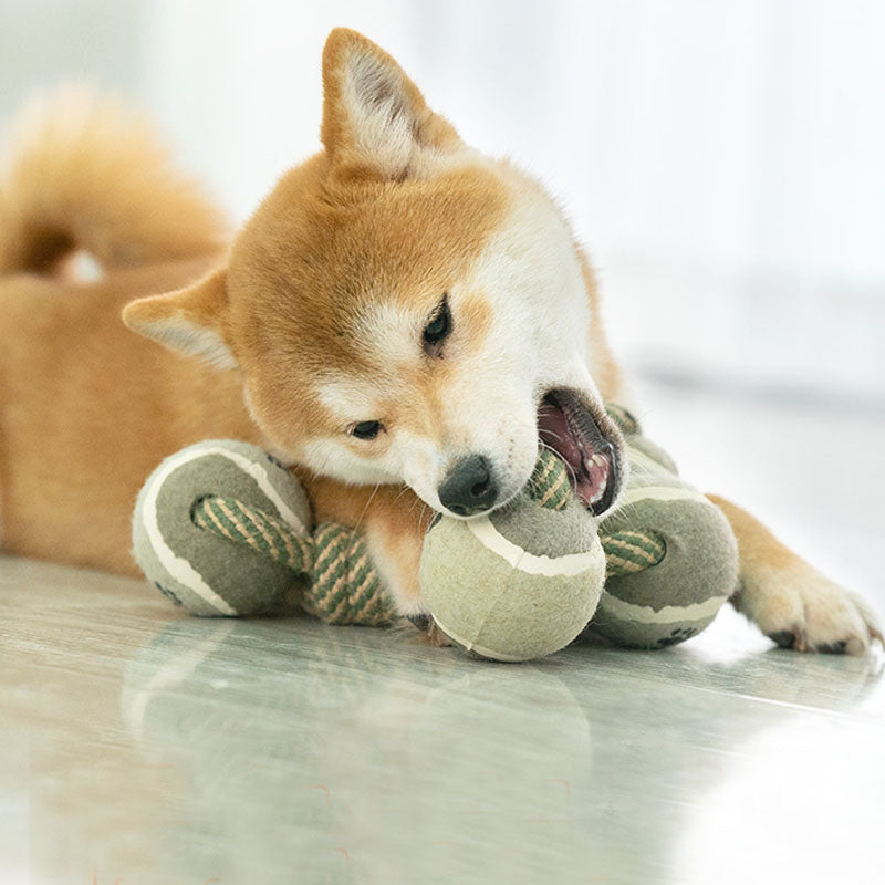 Pet Dog Double-headed Ball Rope Knot Toy Molar Teeth Resistant Clean Chew Tug