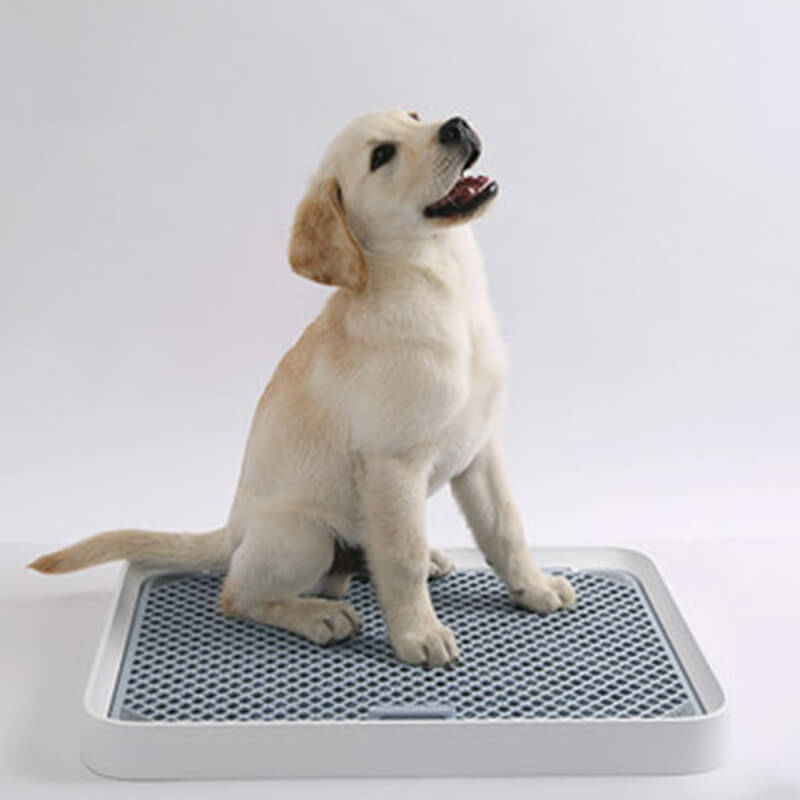 Pet Dog Mesh Toilet Pad Lattice Tray Potty Pee Animal Training Tool PETKIT