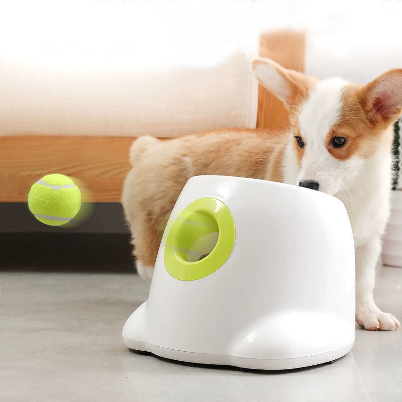 Pet Dog Automatic Tennis Ball Launcher Throwing Serving Pitching Training Toy