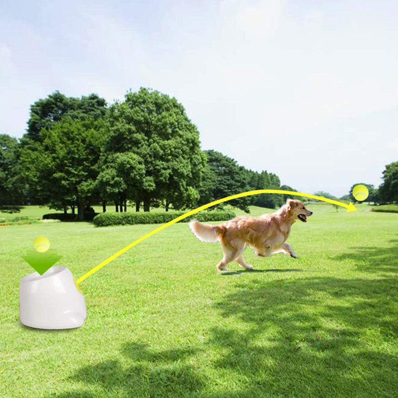 Pet Dog Automatic Tennis Ball Launcher Throwing Serving Pitching Training Toy