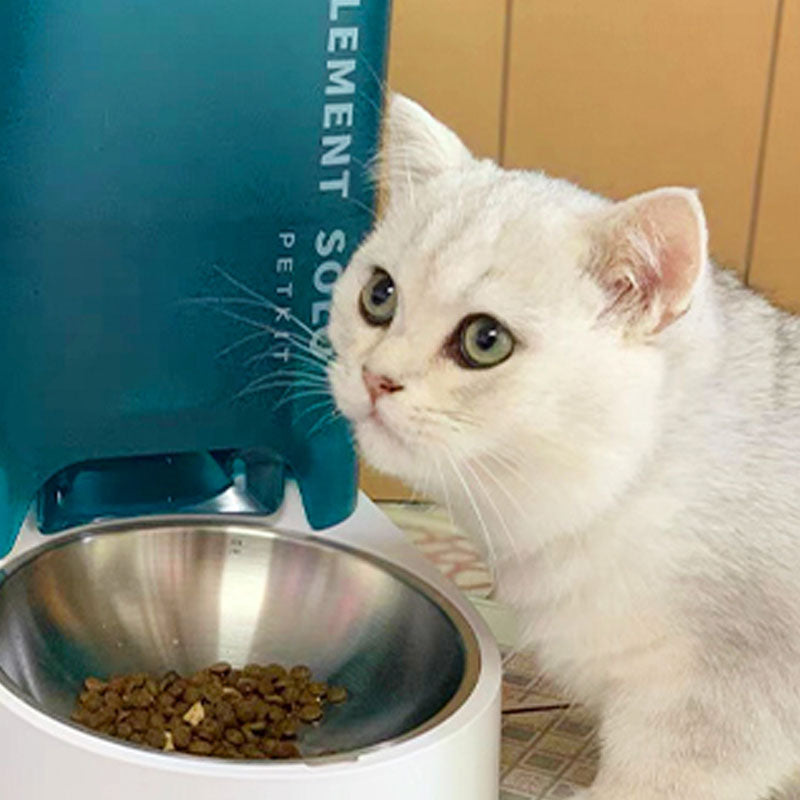 Smart Feeder Cat Dog Pet Food WIFI Automatic Timing Self-feeding Machine Bowl