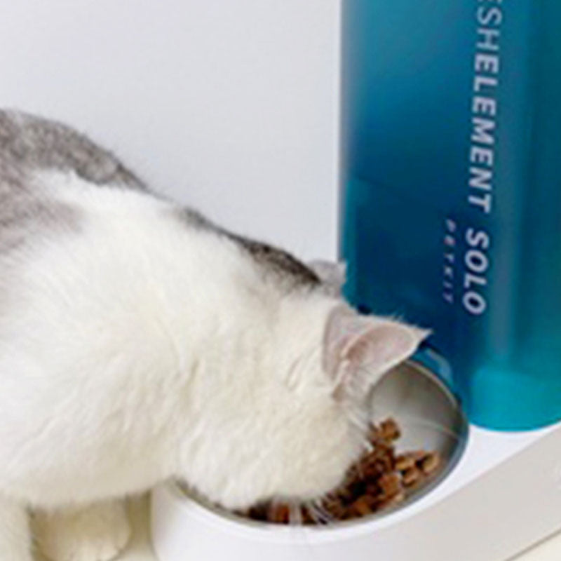 Smart Feeder Cat Dog Pet Food WIFI Automatic Timing Self-feeding Machine Bowl