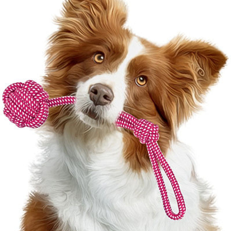 Pet Dog Chew Toy Combination Set Cotton Clean Teeth Rope Frisbee Ball Molar