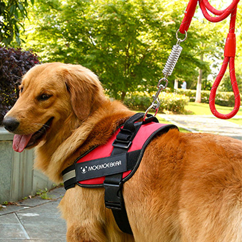 Pet Dog Soft Leash Mesh Adjustable Harness Chest Strap Cross-border Traction