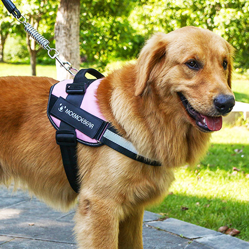 Pet Dog Soft Leash Mesh Adjustable Harness Chest Strap Cross-border Traction