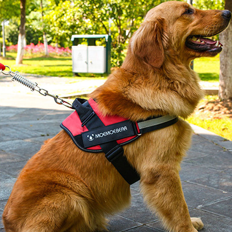 Pet Dog Soft Leash Mesh Adjustable Harness Chest Strap Cross-border Traction