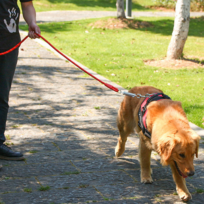 Pet Dog Soft Leash Mesh Adjustable Harness Chest Strap Cross-border Traction