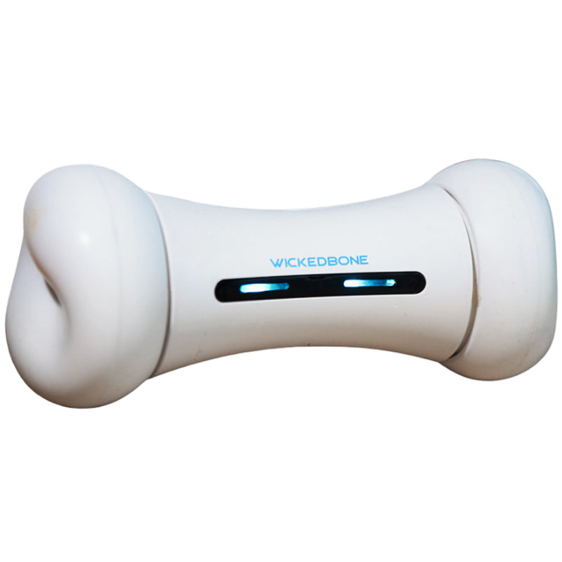 Automatic Interactive Chew Toy Smart App Pet Dog Bone Anti-depression Wickedbone