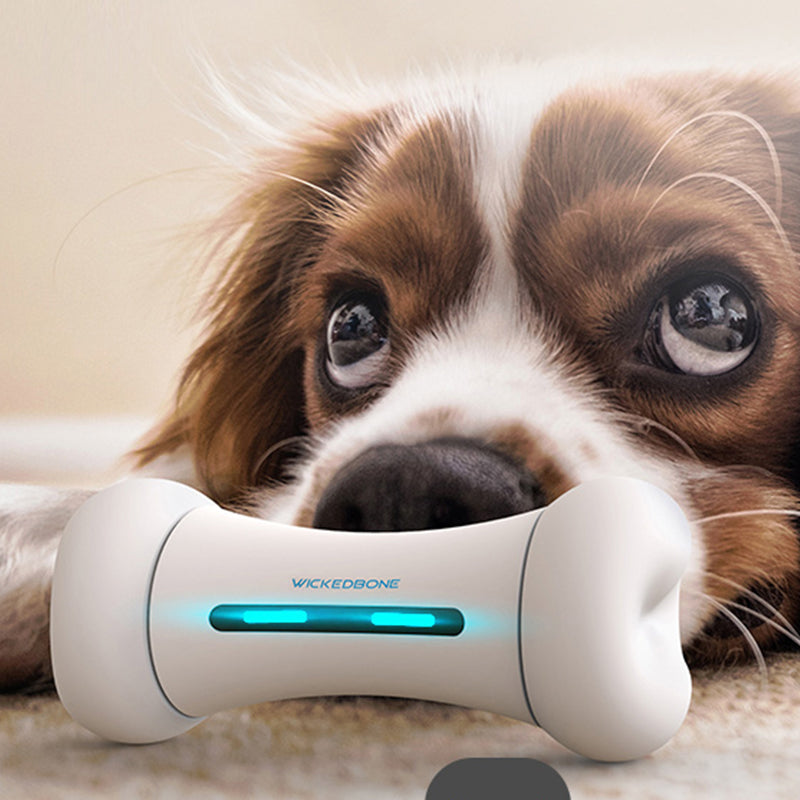 Automatic Interactive Chew Toy Smart App Pet Dog Bone Anti-depression Wickedbone