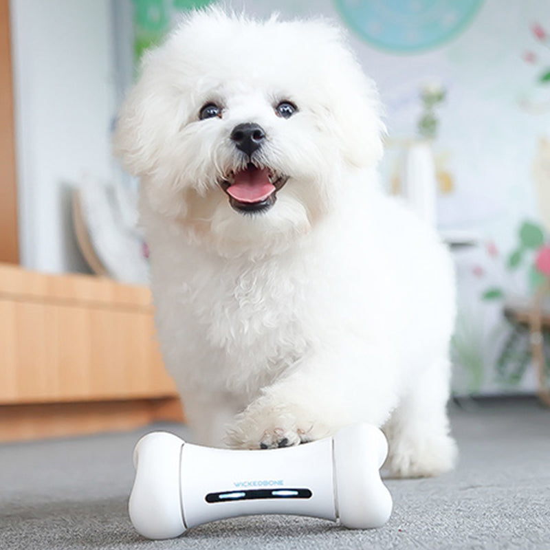 Automatic Interactive Chew Toy Smart App Pet Dog Bone Anti-depression Wickedbone