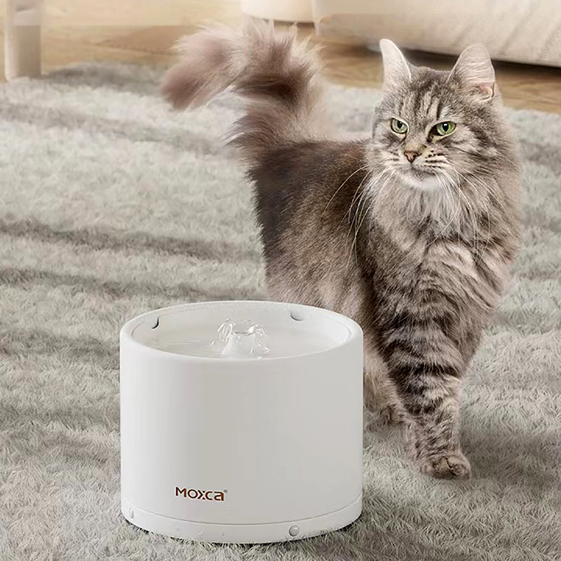 Pet Cat Dog Ceramic Wireless Ceramic Smart Induction Drinking Water Dispenser