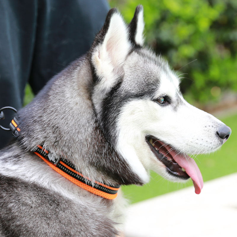 Pet Small Big Dog Anti-Strangle Breathable Safe Professional Reflective Collar