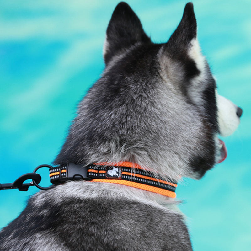 Pet Small Big Dog Anti-Strangle Breathable Safe Professional Reflective Collar