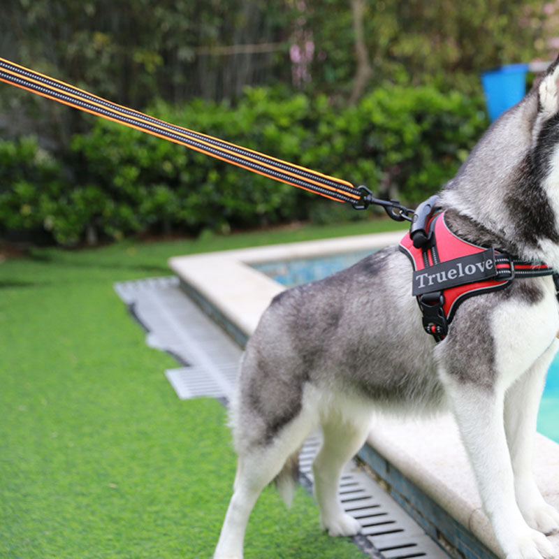 Pet Dog Soft Comfortable Durable Breathable Leash Chain Rope Reflective Strip