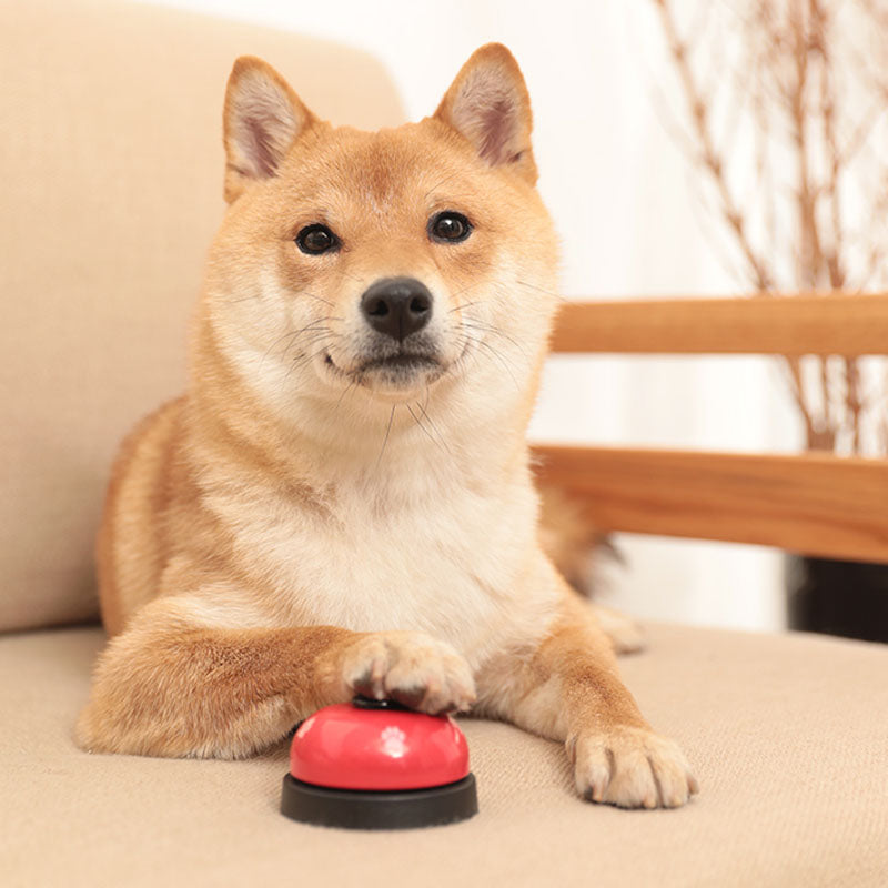 Pet Cat Dog Training Interactive Hand Press Bell Food Trainer Button