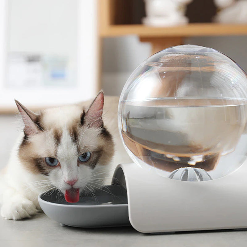 Pet Cat Dog Automatic Water Drinking Dispenser Food Feeder