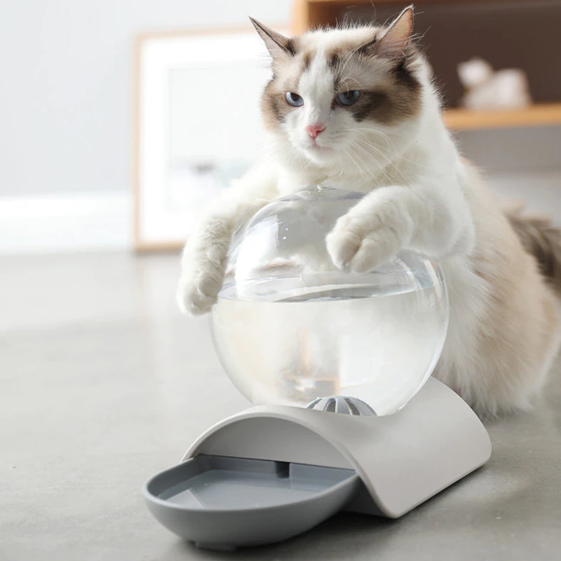 Pet Cat Dog Automatic Water Drinking Dispenser Food Feeder