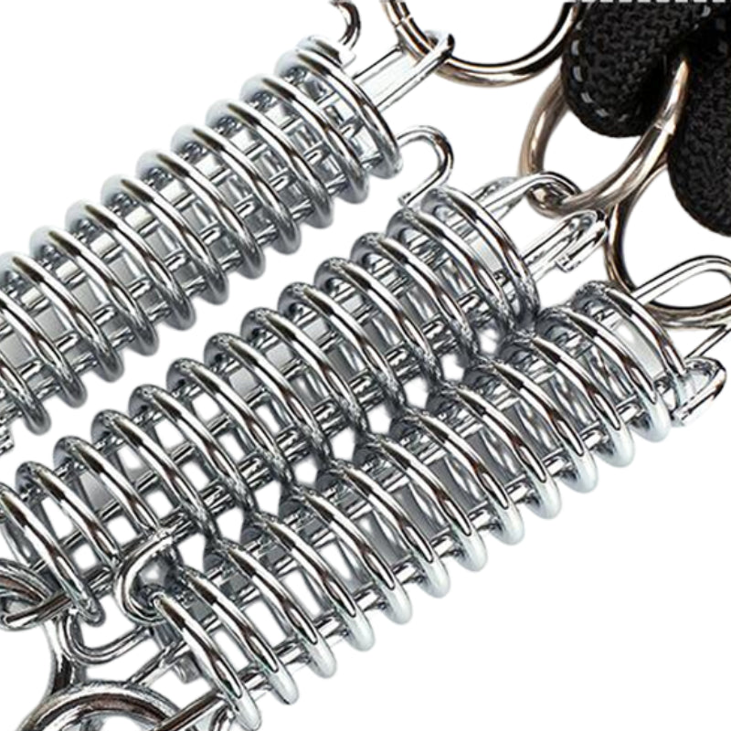 Pet Dog EVA Reflective Traction Rope Training Chain Spring Nylon Leash