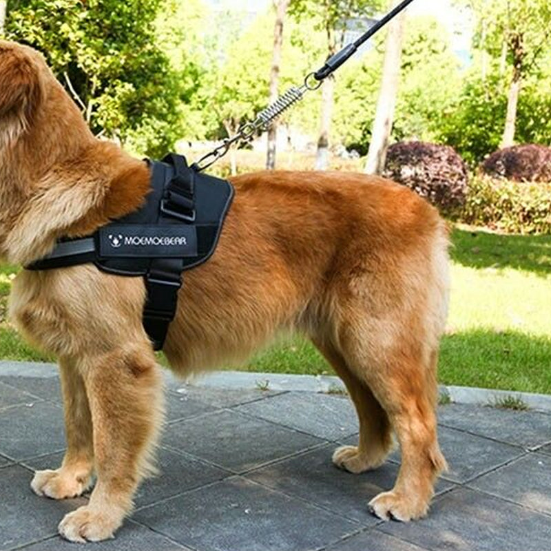 Pet Dog EVA Reflective Traction Rope Training Chain Spring Nylon Leash