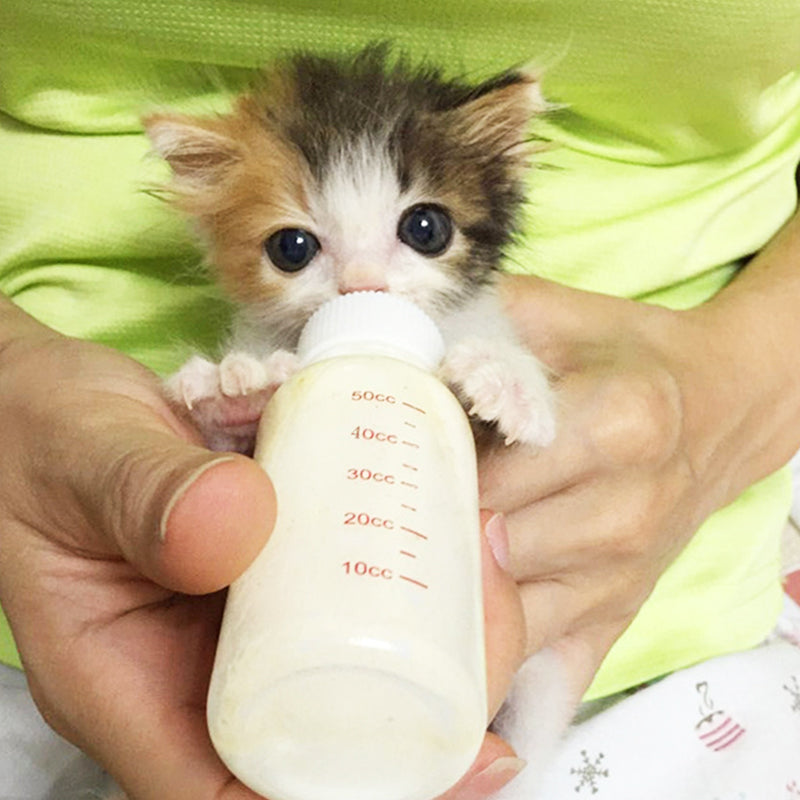 Pet Cat Dog Feeding Milk Bottle Newborn Nursing Kitten Puppy Soft Nipple