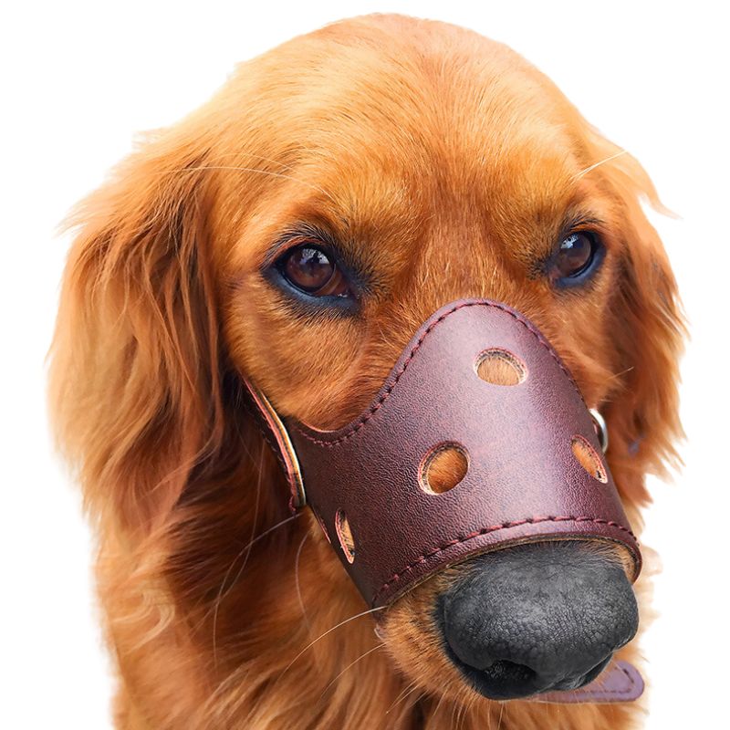 Pet Cat Dog Adjustable Leather Muzzle Mask Anti-Bite Mouth Cover Jaw Sleeve