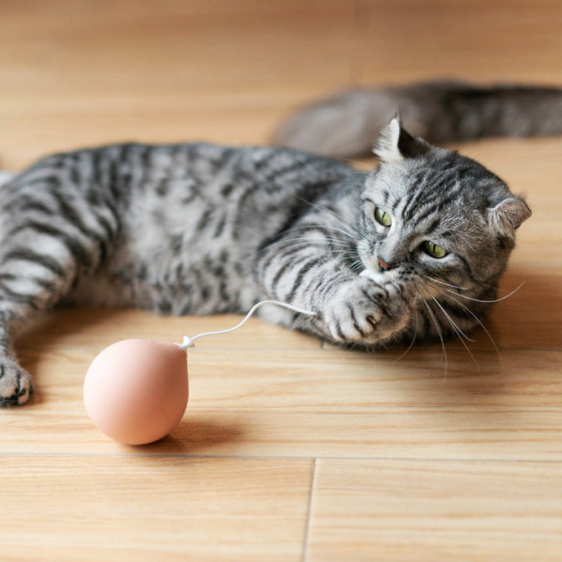 Electric Pet Cat Tumbler Funny Cat Toy Stick Balloon Teaser Irregular Rotation
