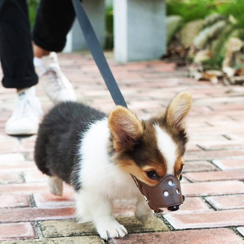 Pet Cat Dog Adjustable Leather Muzzle Mask Anti-Bite Mouth Cover Jaw Sleeve