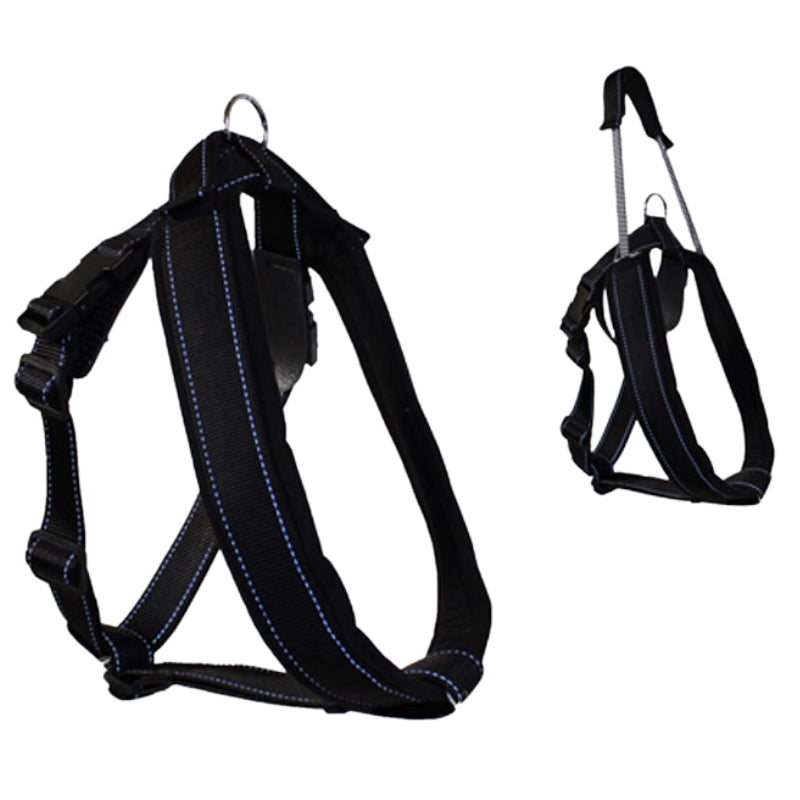 2-in-1 Quick Control Pet Dog Golden Retriever Traction Rope Leash Chain Collar