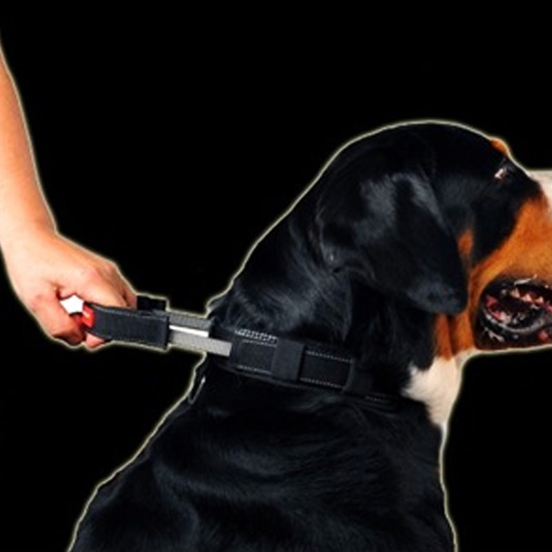 2-in-1 Quick Control Pet Dog Golden Retriever Traction Rope Leash Chain Collar