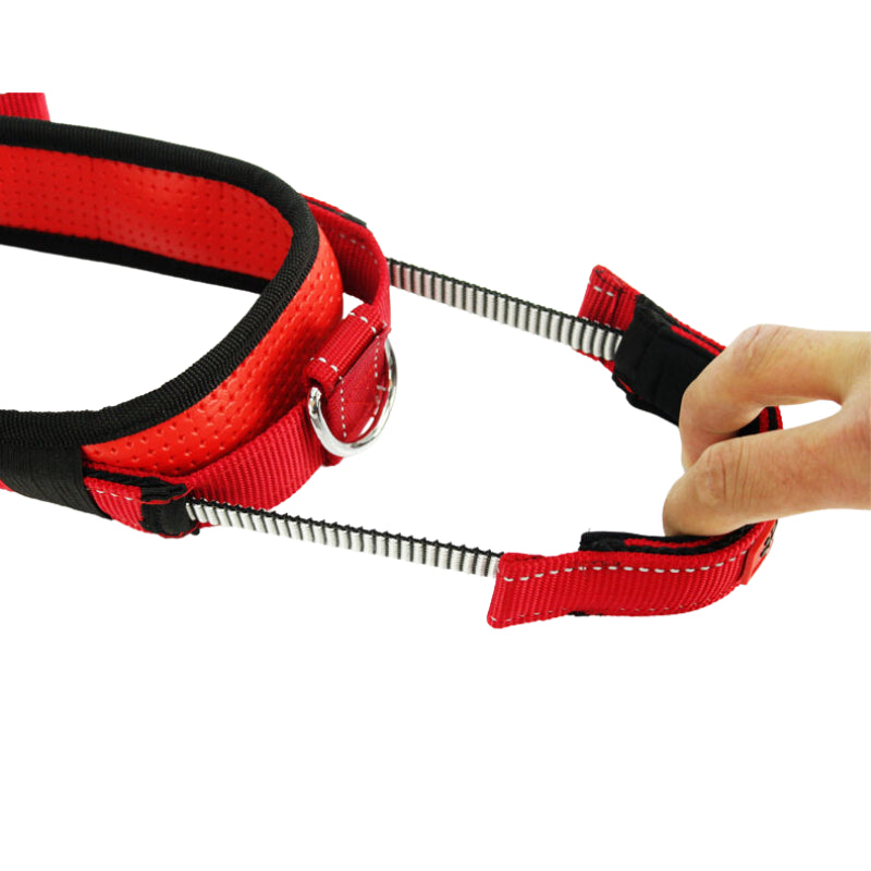 2-in-1 Quick Control Pet Dog Golden Retriever Traction Rope Leash Chain Collar