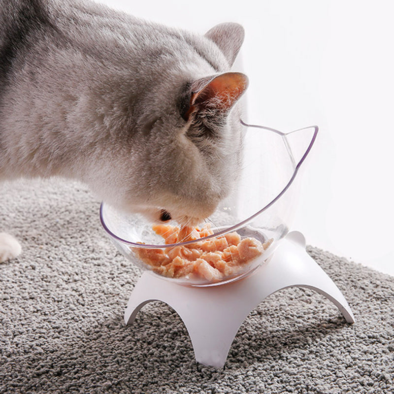 Pet Cat Bowl Feeding Oblique Mouth Cervical Vertebra Transparent Feeder Non slip