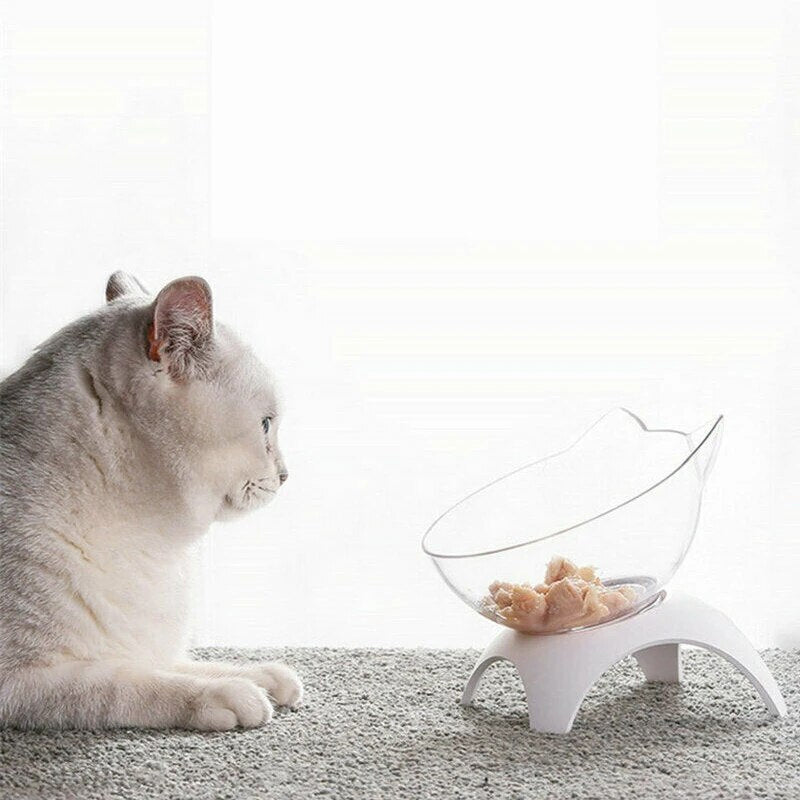 Pet Cat Bowl Feeding Oblique Mouth Cervical Vertebra Transparent Feeder Non slip