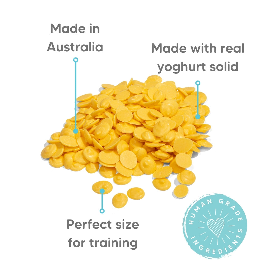 The Pet Project - Banana Yoghurt Drops (250g) Dog Treats