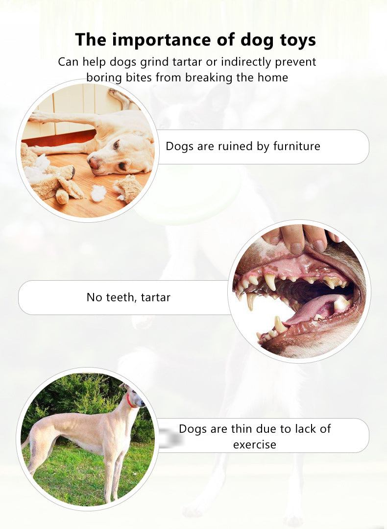 Night Light Rubber Frisbee Safe Exercise Fetch Tossing Toy for Dogs